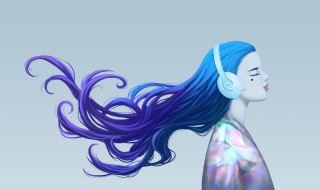网易云音乐歌单有个n是什么意思 网易云音乐的简介