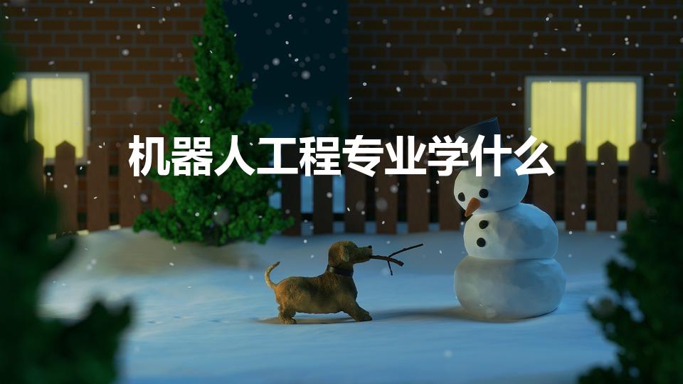 机器人工程专业学什么（机器人工程专业学什么编程语言)