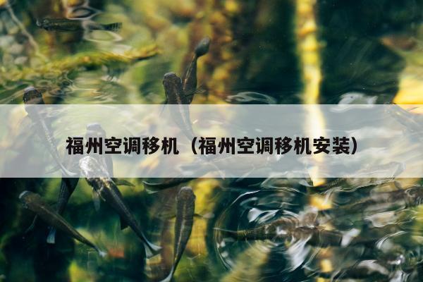 福州空调移机（福州空调移机安装）