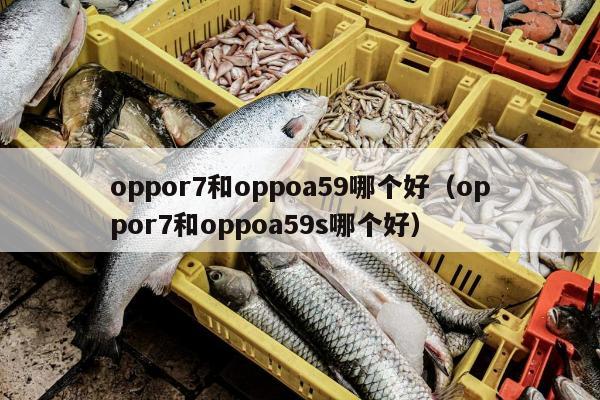oppor7和oppoa59哪个好（oppor7和oppoa59s哪个好）