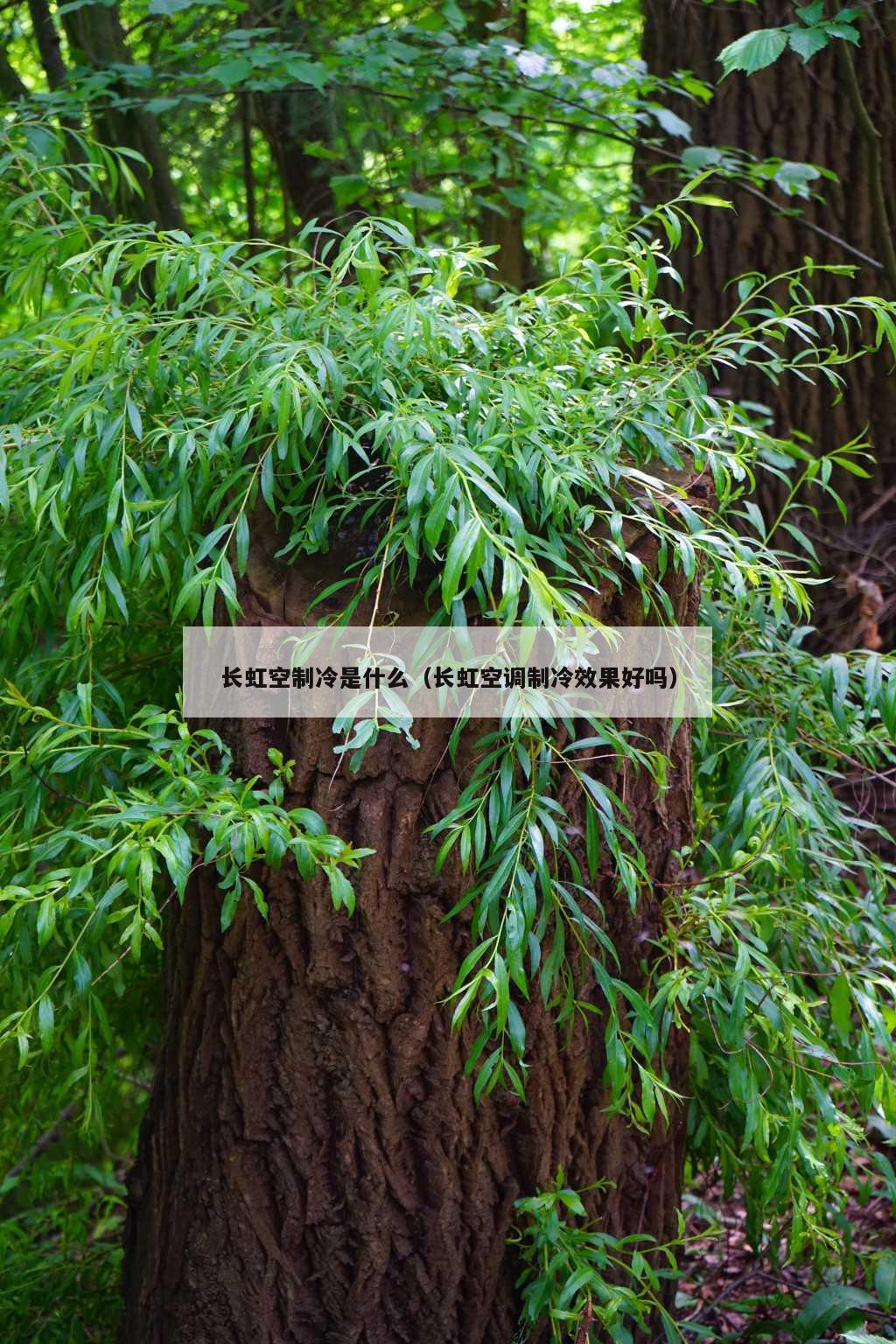 长虹空制冷是什么（长虹空调制冷效果好吗）