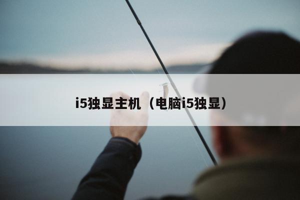 i5独显主机（电脑i5独显）