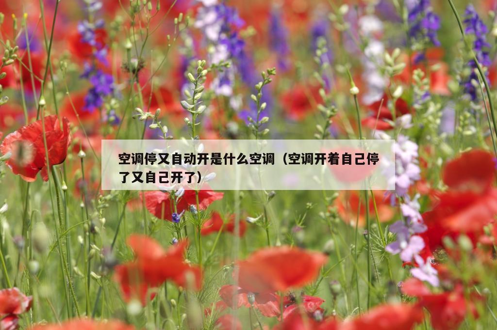 空调停又自动开是什么空调（空调开着自己停了又自己开了）