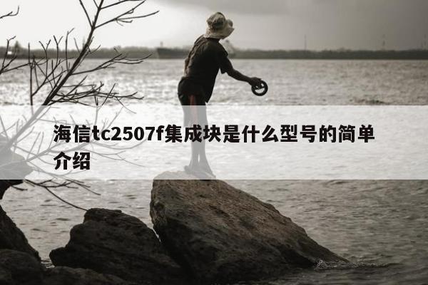 海信tc2507f集成块是什么型号的简单介绍