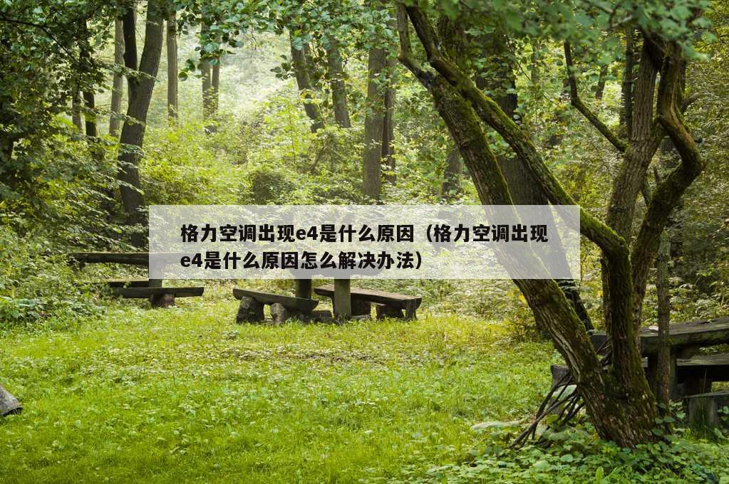 格力空调出现e4是什么原因（格力空调出现e4是什么原因怎么解决办法）