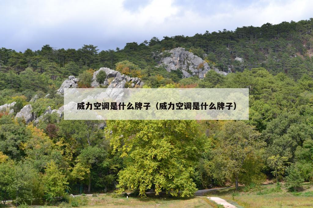 威力空调是什么牌子（威力空调是什么牌子）
