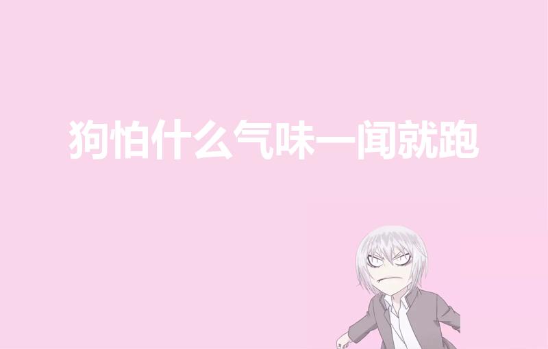 狗怕什么气味一闻就跑