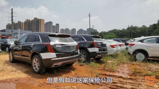 新车保险怎么买（快速购买新车保险）