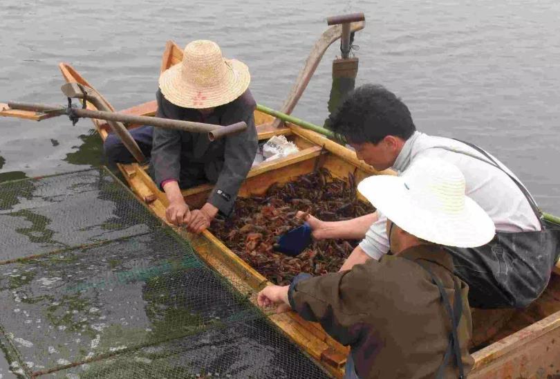 小龙虾产地最多的地方是哪里（全国小龙虾最有名的产地）