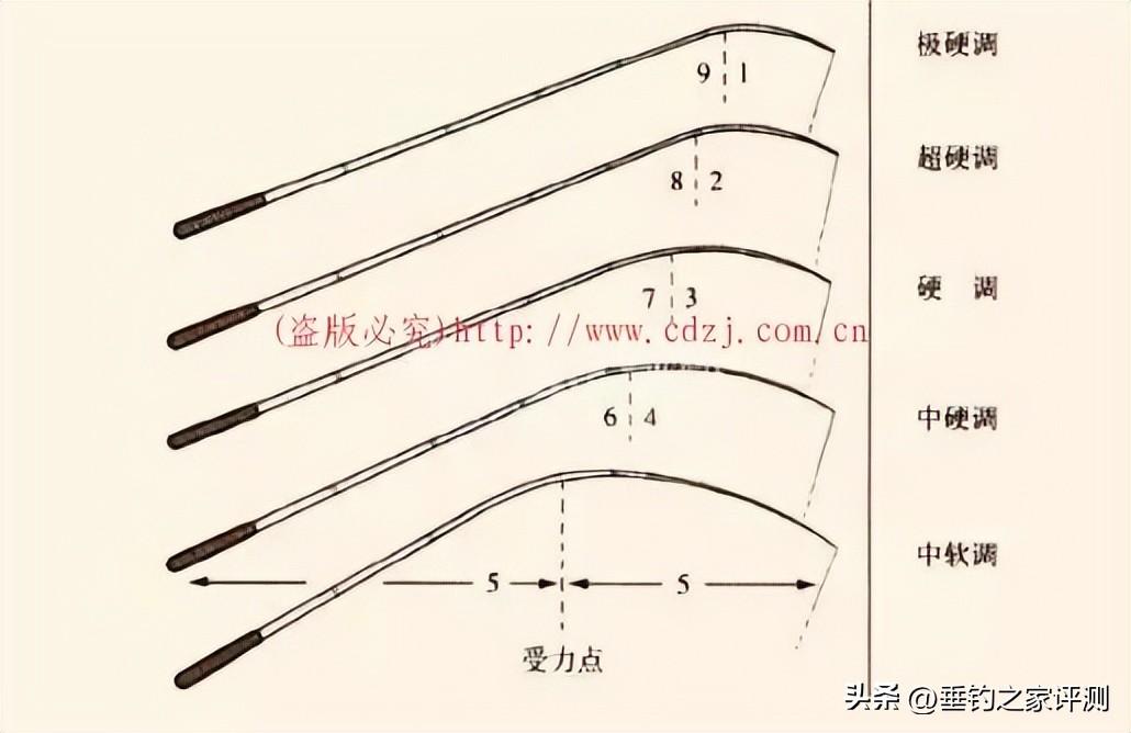 鱼竿28调和19调哪个更好一些（鱼竿调性的选择及比较分析）